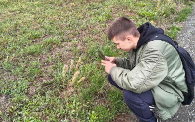 Učenici 4. F razreda sudjelovali u projektu “BioBlitz i knjižnice”